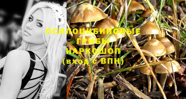 скорость Михайлов